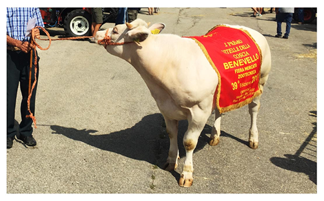 ANNUALE FIERA ZOOTECNICA AGRICOLA